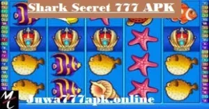 Shark Secret 777 Interface