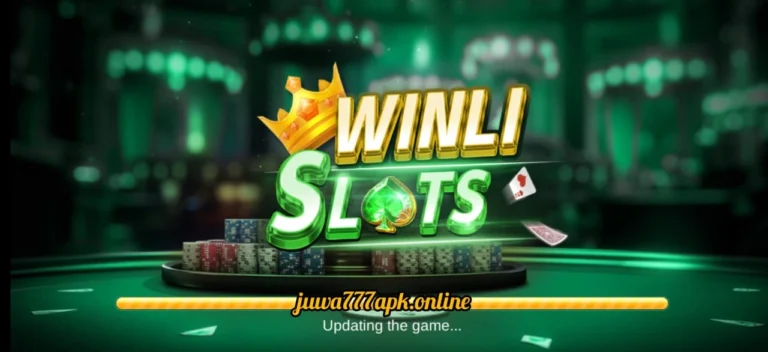 Winli Slots Game logo