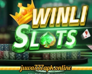 Winli Slots Game logo